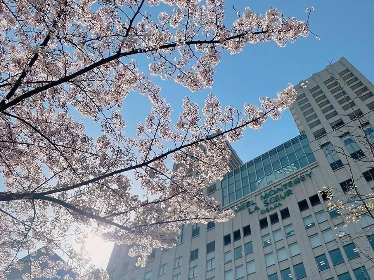 Hotel Monterey La Soeur Osaka 4*,
